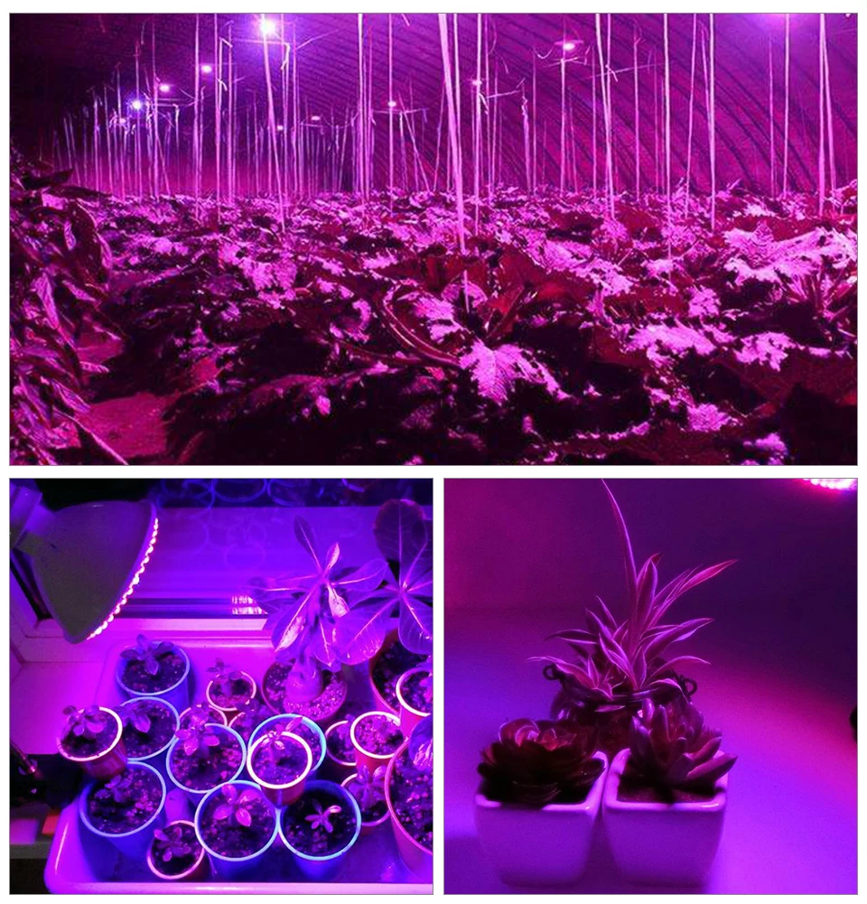 Full Spectrum GU10 E27 LED Grow Light Phyto Lamp For Indoor Flower Plants Garden Hydroponics  (9)