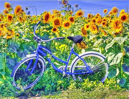 Diamond Embroidery Spring Landscape Painting Bicycle Full Round Mosaic Rhinestone Picture Home Decor | Дом и сад