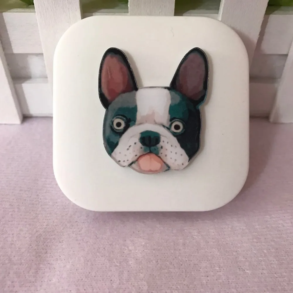 LIUSVENTINA DIY акриловый милый чехол для контактных линз с изображением собаки
