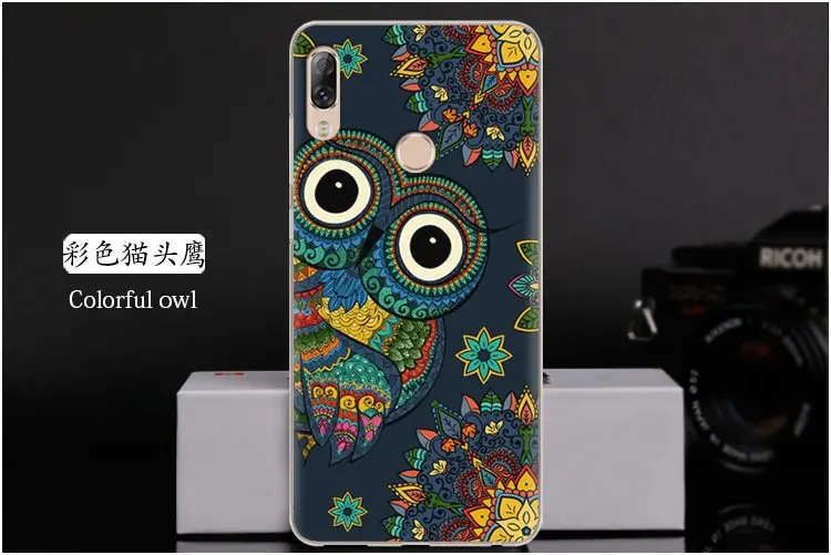  Colorful owl