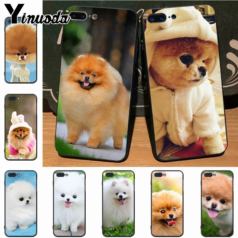 Yinuoda Роскошный Гибридный чехол для телефона с милой Pomeranian собачкой iPhone 7plus 6S 7 8 8Plus