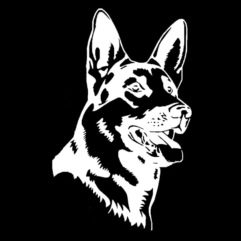 img2