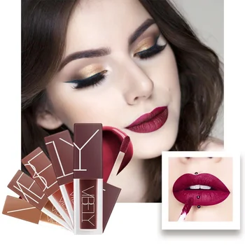 

5 Colors Makeup Long Lasting Lip Color Velvet Red Brown Pigment In Ink Liquid Cosmetic For Lips