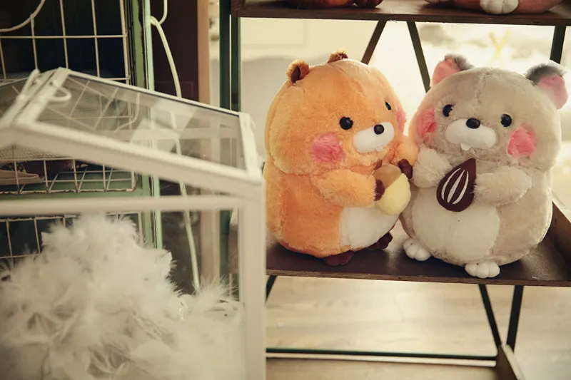 23216