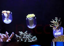 SPS phyto plus кораллы фрагмент Подставка Кронштейн Мини nano сильный магнит фиксировать аквариум Наклонный самолет