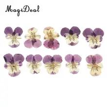 10 шт. прессованные цветы натуральные анютины глазки для изготовления поздравительных открыток Скрапбукинг художественное ремесло украшения наполнитель DIY Ювелирные изделия из смолы