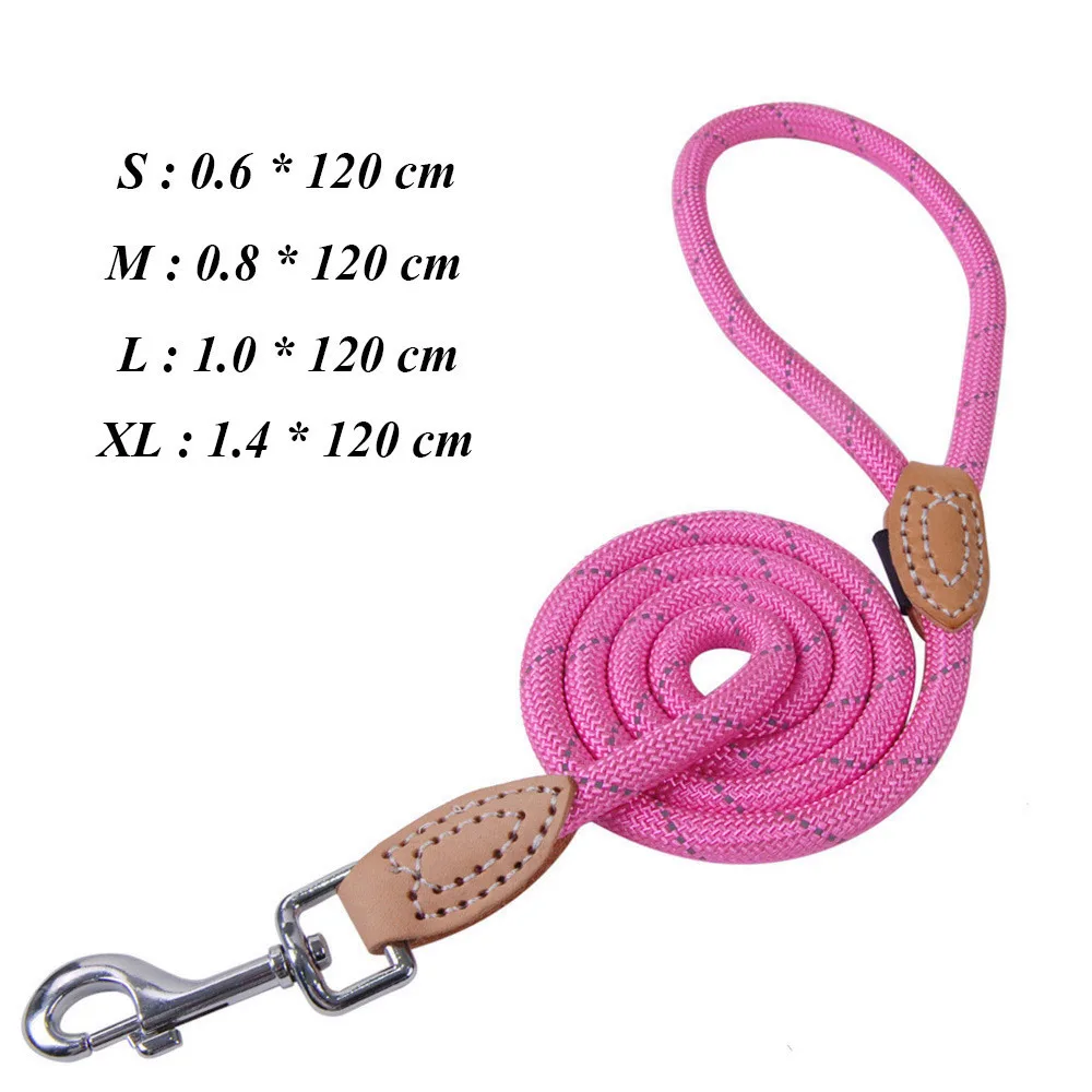 Dog Leashes For Dogs Outdoor Training Leash For Small Dog Puppy Leash Control Rope Durable Nylon Leads For Pet Dog Leash PY0229 1(1)