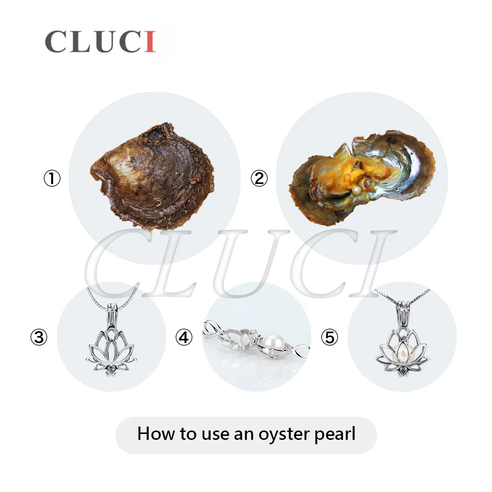 WP019BB-5-pearl-jewelry