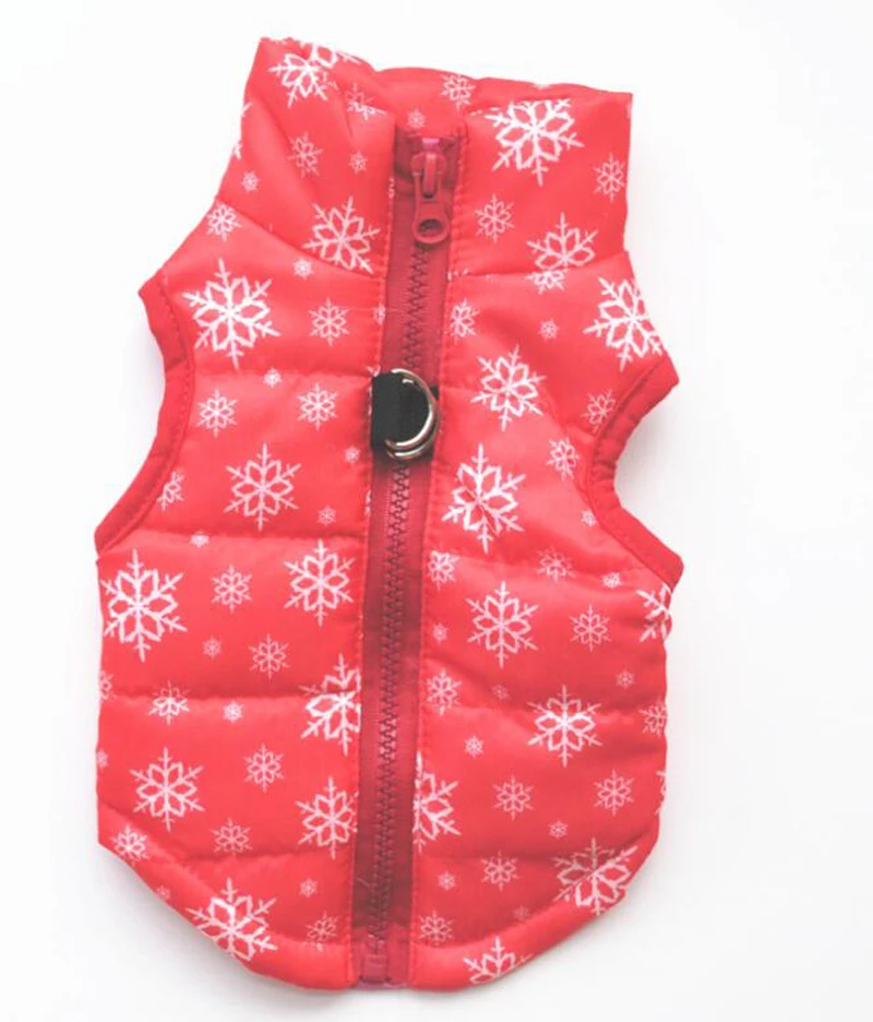 dog winter clothes (5)