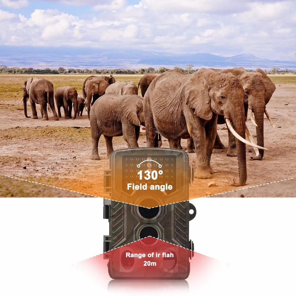 Hunting camera traps photo (2)