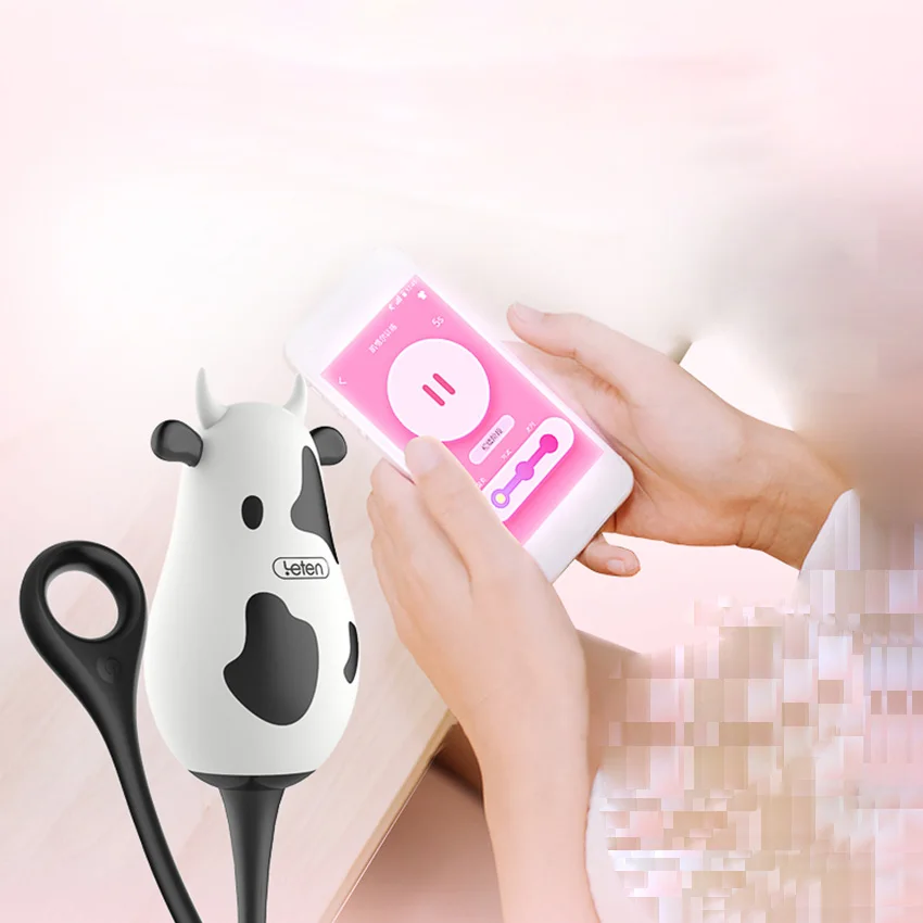 Bluetooth Kegel Balls (15)