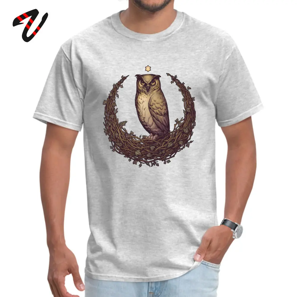 Owl Hedera Moon Summer Fall 100% Cotton Fabric Crew Neck Tops Shirt Short Sleeve Europe Tops Tees Graphic Custom T-Shirt Owl Hedera Moon 32225 grey