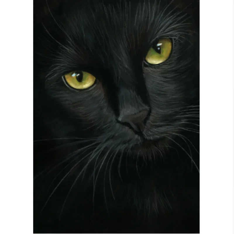 

100% Diamond Painting Black Cat Patterns Needlework Cross Stitch Resin Stone Pasted Painting Square Diamond Embroidery Animals