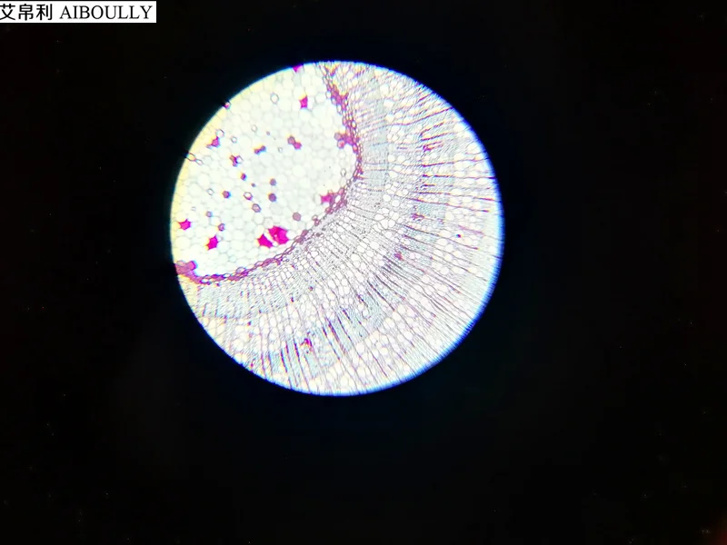 AIBOULLY WF10X окуляр микроскопа Биологический микроскоп 10X Диаметр 23,2 мм оптический окуляра