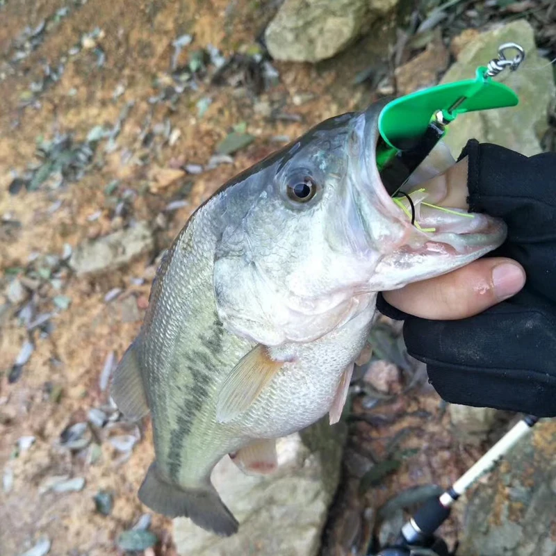 propeller fishing lure (2)