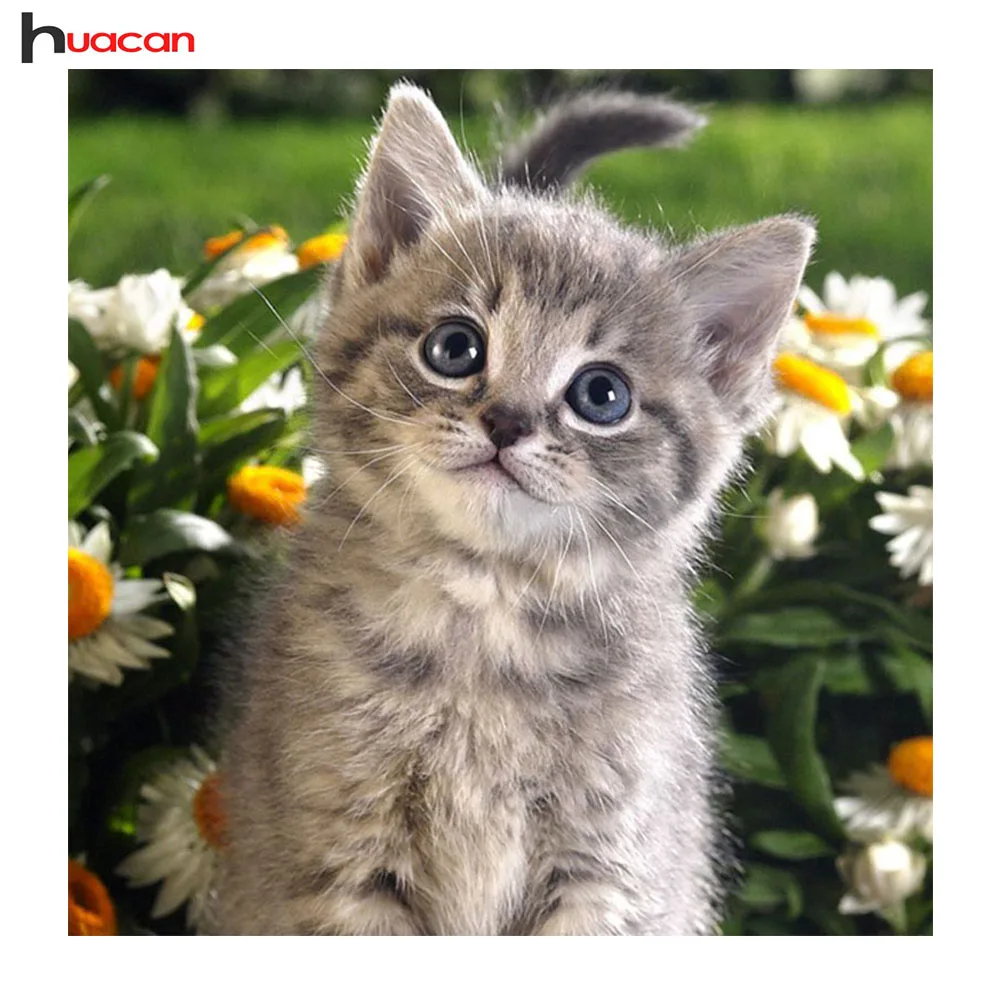 Алмазная картина HUACAN с котом круглая вышивка из смолы животными мозаика для