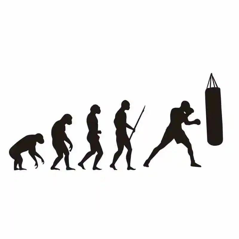 DCTAL Boxing Evolution Sticker Kick Boxer Play Car Decal Free Combat Posters Vinyl Striker Wall Decals Parede Decor