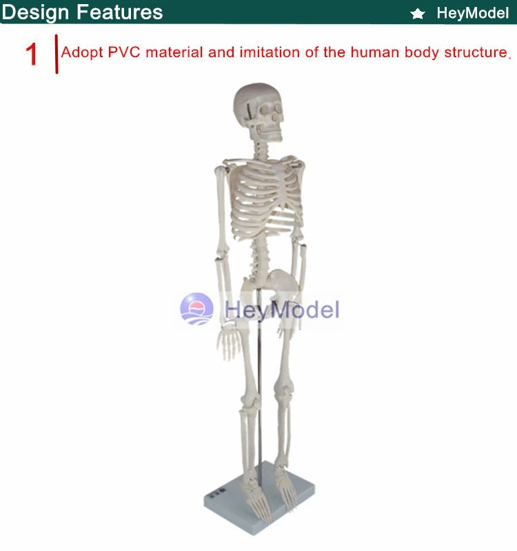 1.PVC_