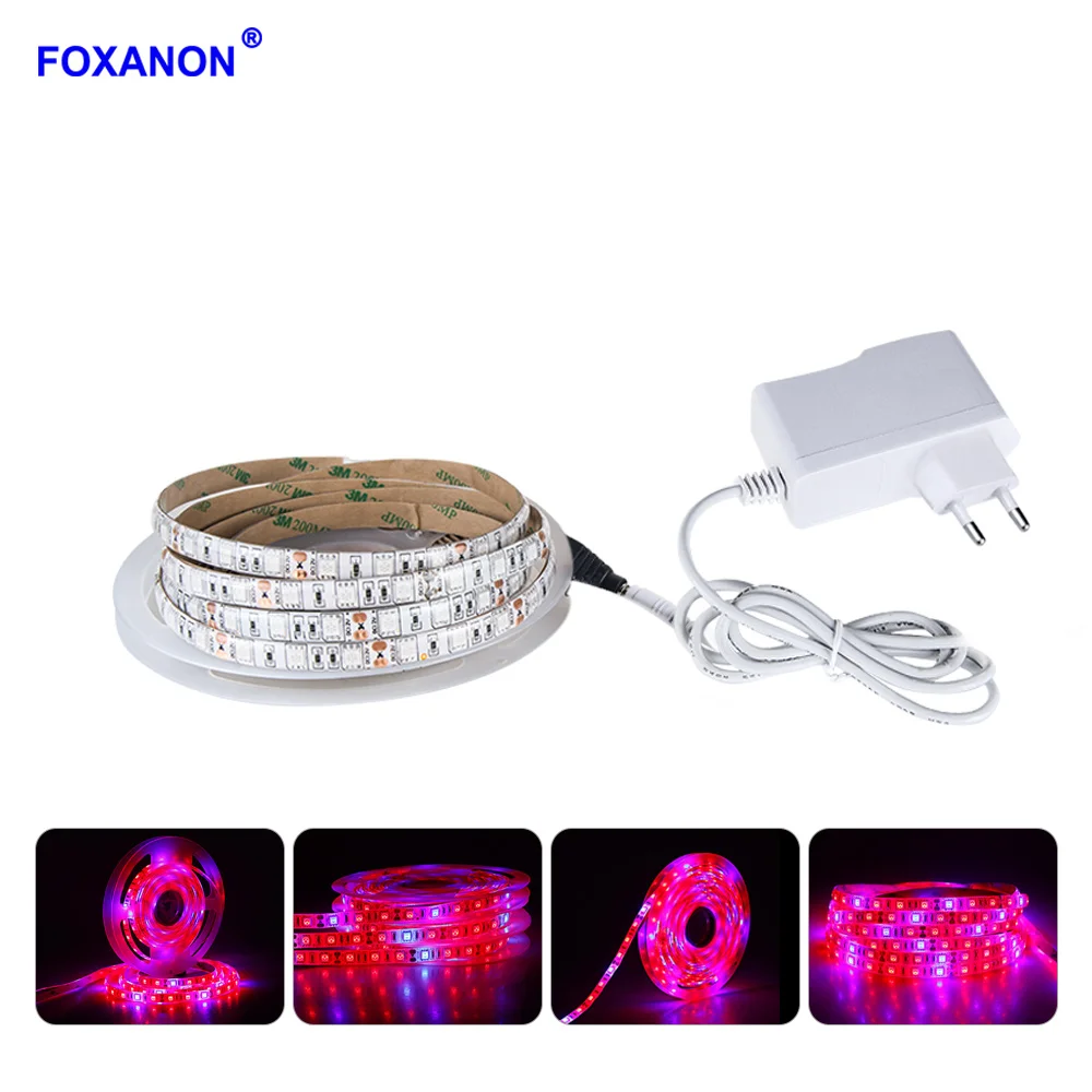 Foxanon полный спектр Led Grow Light 300 светодиодов 5 м фитолампы Strip огни с выключателем