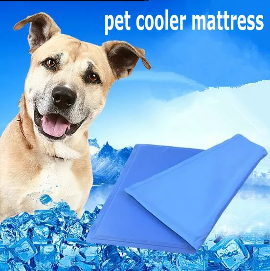 pet cooler mattress dog sleeping cool beds nice snap cat house in