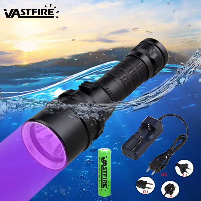 XPE UV 395nm Diver светильник подводный 100 м светодиодный Дайвинг вспышка светильник 10 Вт 365-395nm фонарь+ аккумулятор 18650+ зарядное устройство