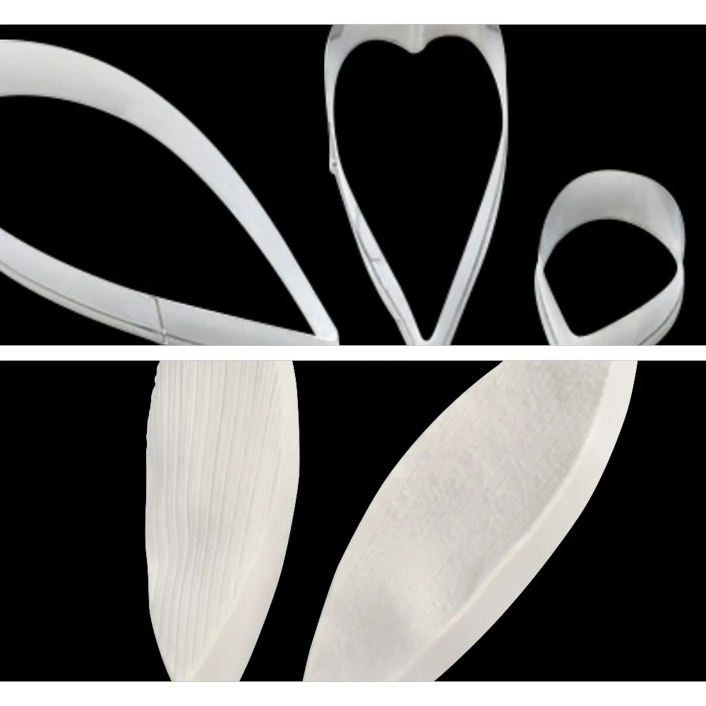 Strelitzia-4