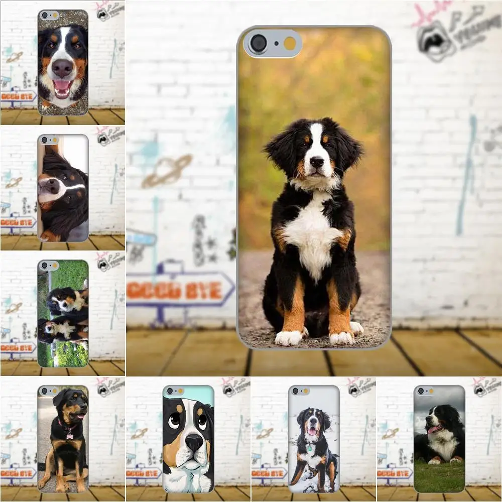 

For Huawei G8 Honor 5C 5X 6 6X 7 8 9 Y5II Mate 9 P8 P9 P10 Lite Plus 2017 Transparent Cover Case Bernese Mountain Dog Design