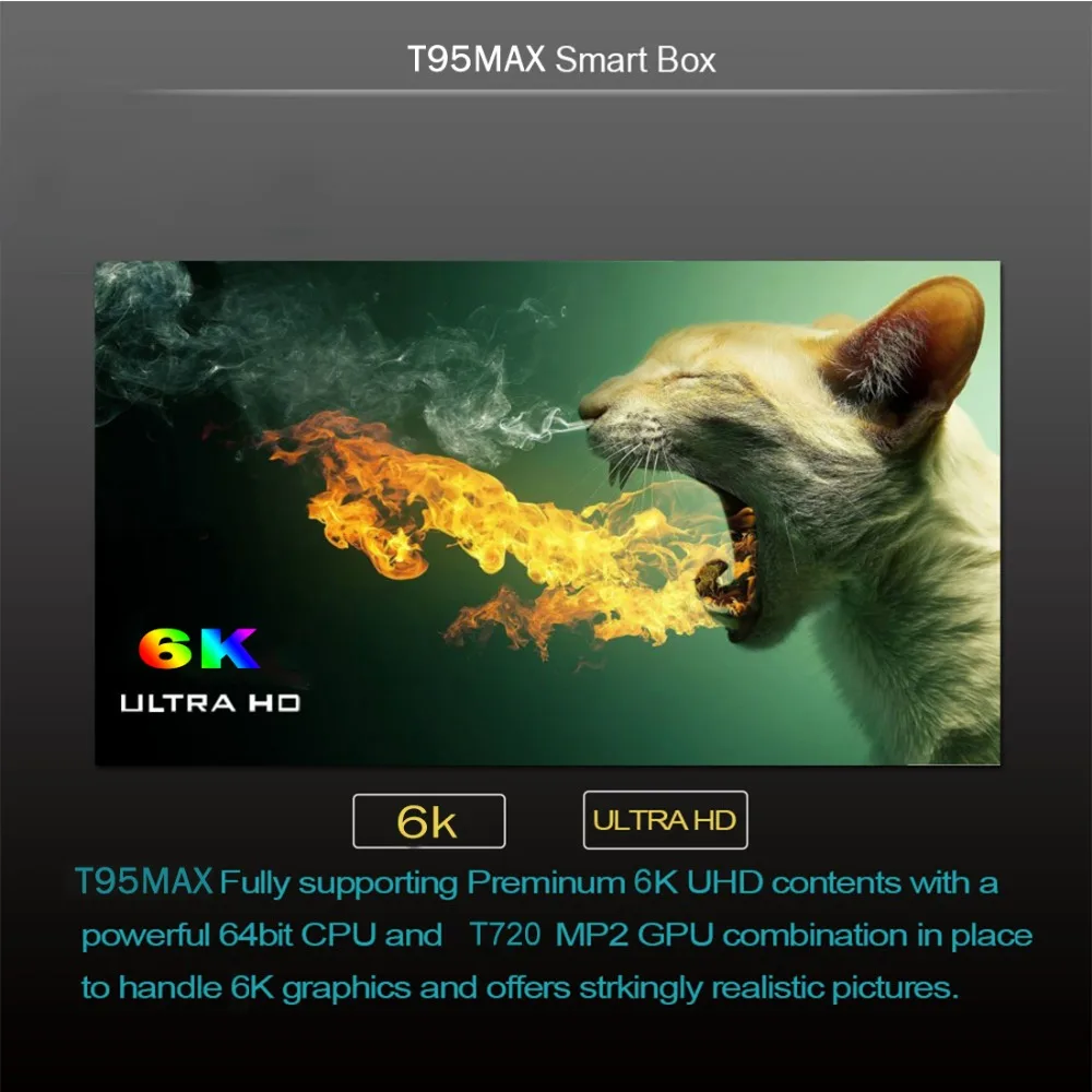  PULIERDE T95max Android 9.0 TV BOX H6 Quad core 4GB 32GB H2.65 6K 2.4GHz WIFI Set-top box Media Pla