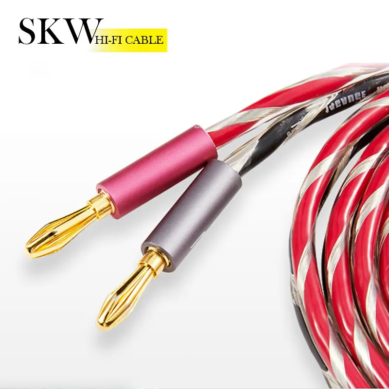 

SKW HIFI Audio Cable With Banana Teminals 24K Gold-plated 2M For Amplifie Home Theater,Speakers