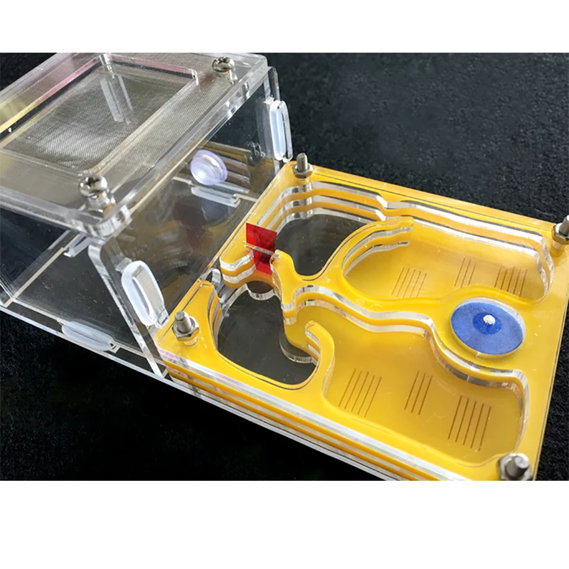 муравьиная ферма Новая муравьи DIY с кормлением области гнездо ant farm акрил