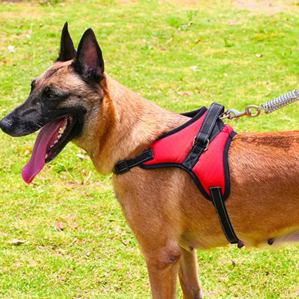 Ajustable Pet Chest Collar Dog Neck Strap Vest Harnesses Traction Belt