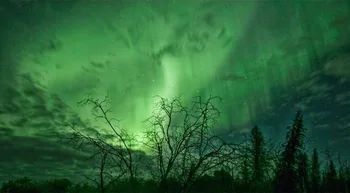 

7x5FT Green Northern Light Custom Photo Studio Backdrop Background Banner Vinyl 220cm x 150cm