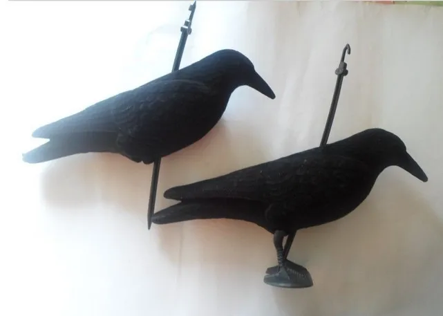 

NEW! Hunting bait crow bait 3pcs