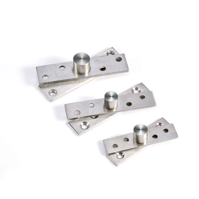 Stainless Steel Rotating Hinge Pivot Internal Door Hinges Rotating