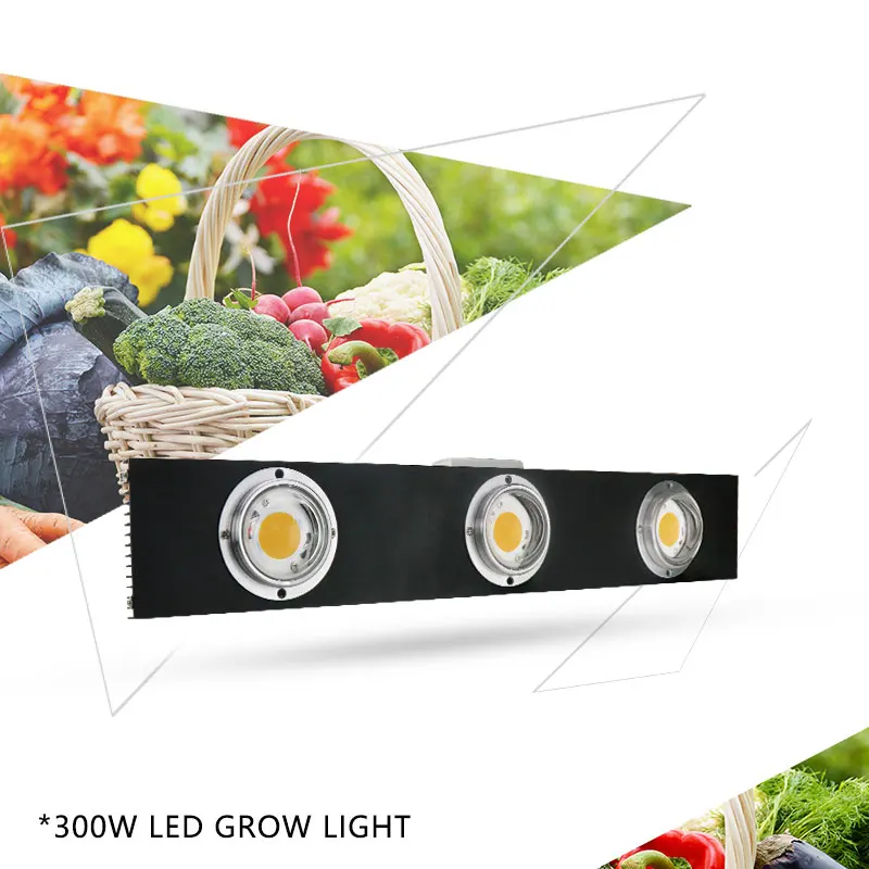 CREE CXB3590 300W COB LED Grow Light Full Spectrum LED Lamp 3500K =HPS 600W Growing Lamp Indoor Plant Growth Panel Lighting
