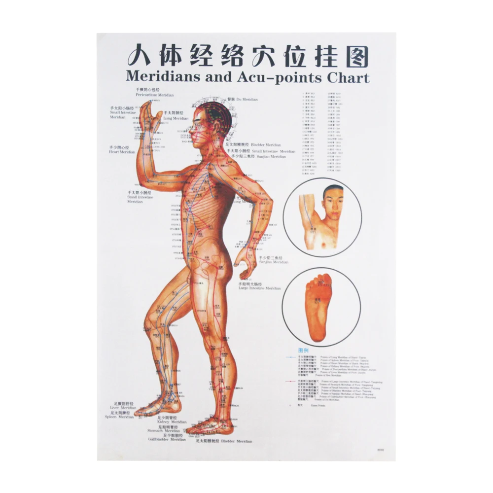7 шт./набор Acupunctuur Massage Punt Kaart китайский& Engels Меридиан акупрессуурпунтен плакаты Grafiek Muur Kaart Voor Medische