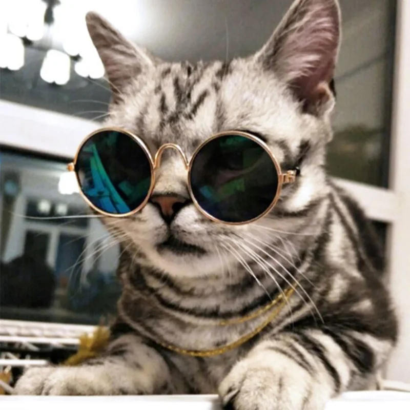 Очки для маленьких собак очки «кошачий глаз» солнцезащитные очки Защита для глаз охлаждающий для домашних животных очки Pet фото реквизит случайный цвет для Gatos