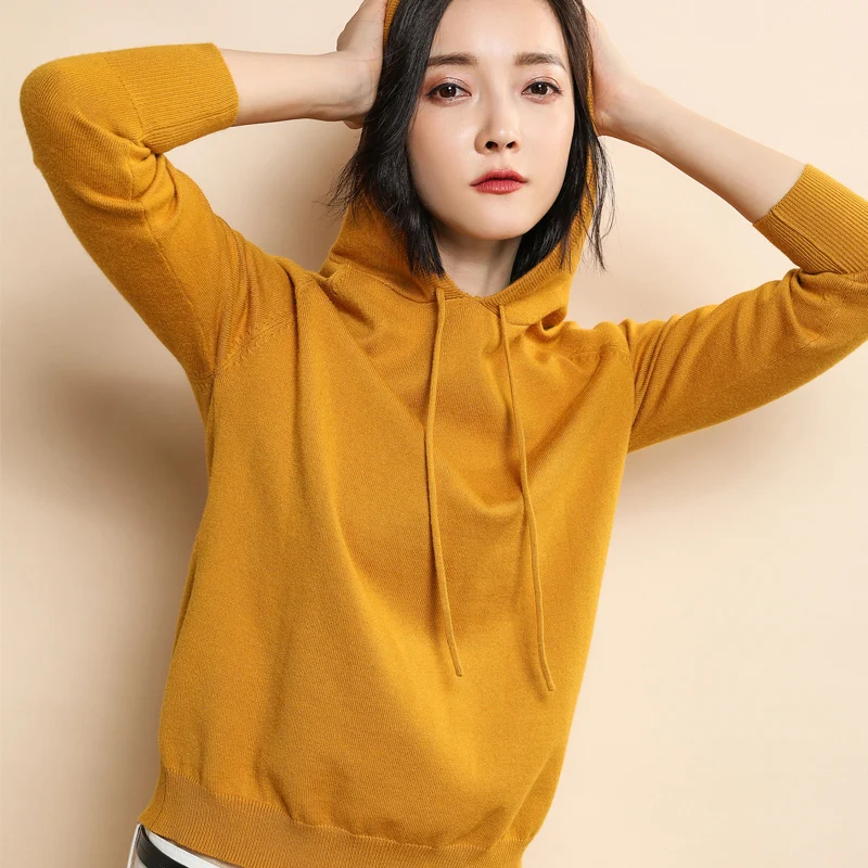 

Long Sleeve Hooded Pullovers Sweaters Women 2018 Spring Autumn Winter New Cashmere Wool Solid Sweaters Knitted Jumpers Plus Size