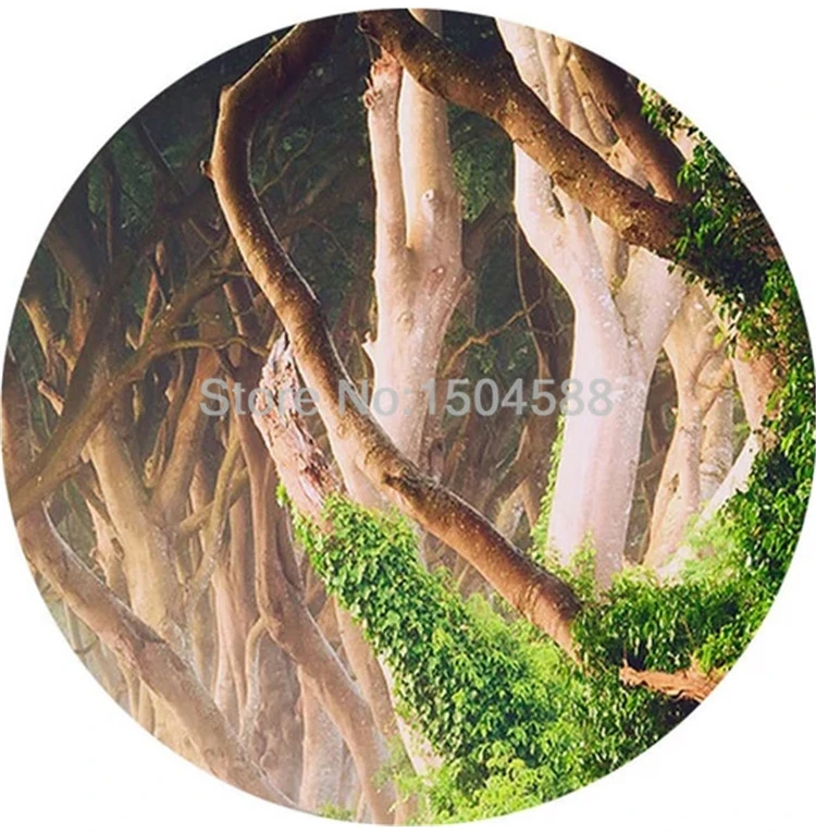 3D Floresta Natureza Paisagem Papel de Parede,