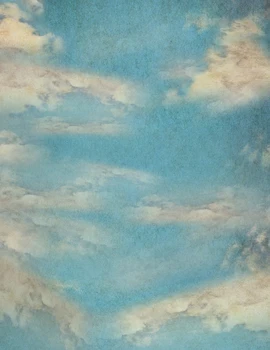 

HUAYI Blue Sky White Cloud Backdrop Art Fabric Newborn Backdrop D-9686