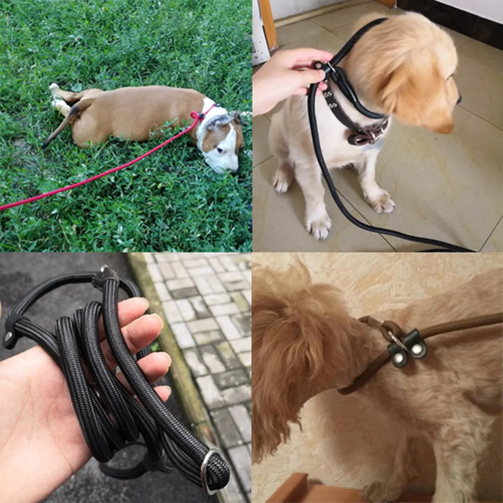 Dog Leashes Breakaway Durable 2 112)