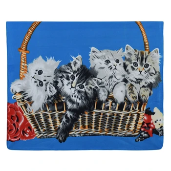 

50x60inch Colorful Printing Rest Flannel Blanket Cushion Warm Sleep Nap Cover Mat Quilt Plush Coral Fleece Blankets