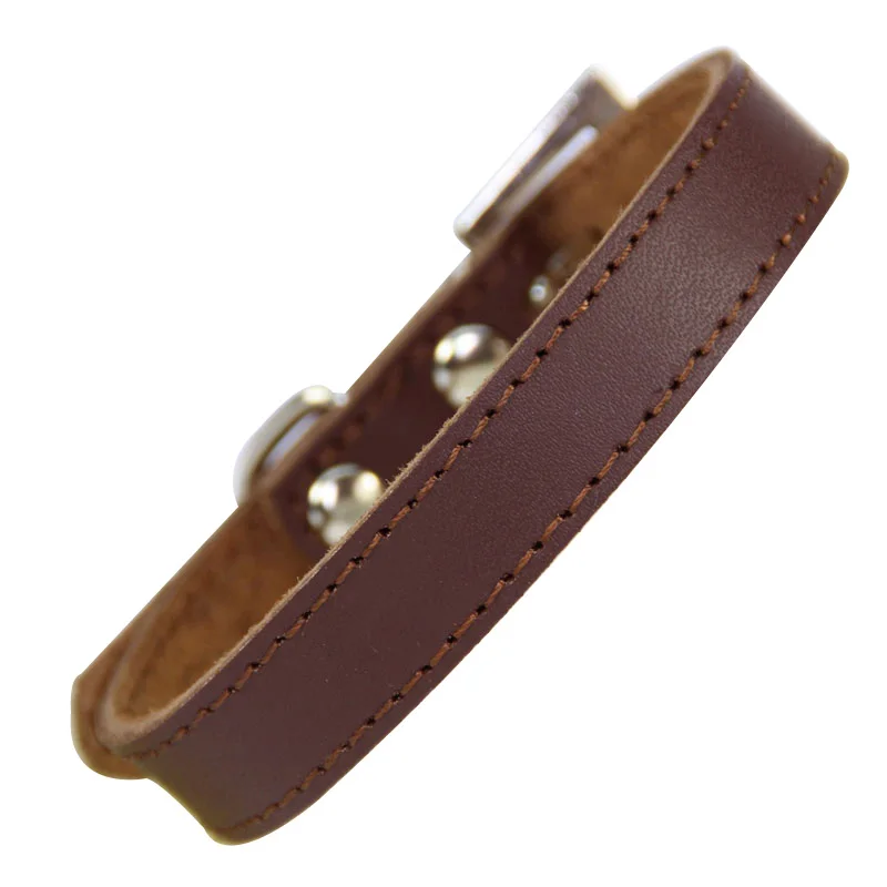 brown dog colar