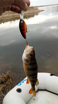 HENGJIA 1 шт. большой кренкбейт рыболовные Воблеры снасти 14 г 10 см pesca плавающие Кривошипные приманки приманка для ловли окуня