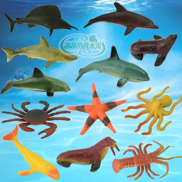 Download 65 Gambar Hewan Laut Terbaru Gratis