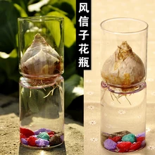 O. RoseLif Мода гиацинти прозрачная стеклянная ваза украшение дома домашний декор ВАСО цветочный горшок Рождество