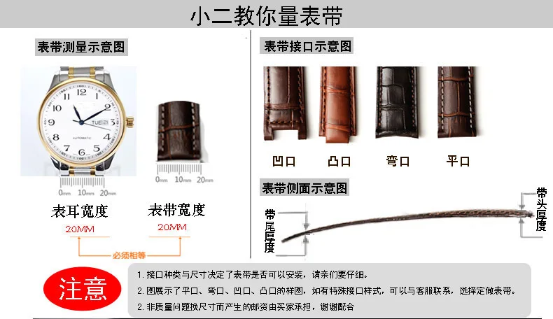 3052806058_1489434119