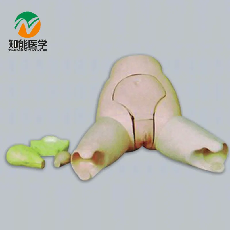 BIX-F31 Advanced Medical Check Manikin The Uterus Bottom Examination Model MQ190 BIX-F31 Advanced Medical Check Manikin The Uterus Bottom Examination Model MQ190