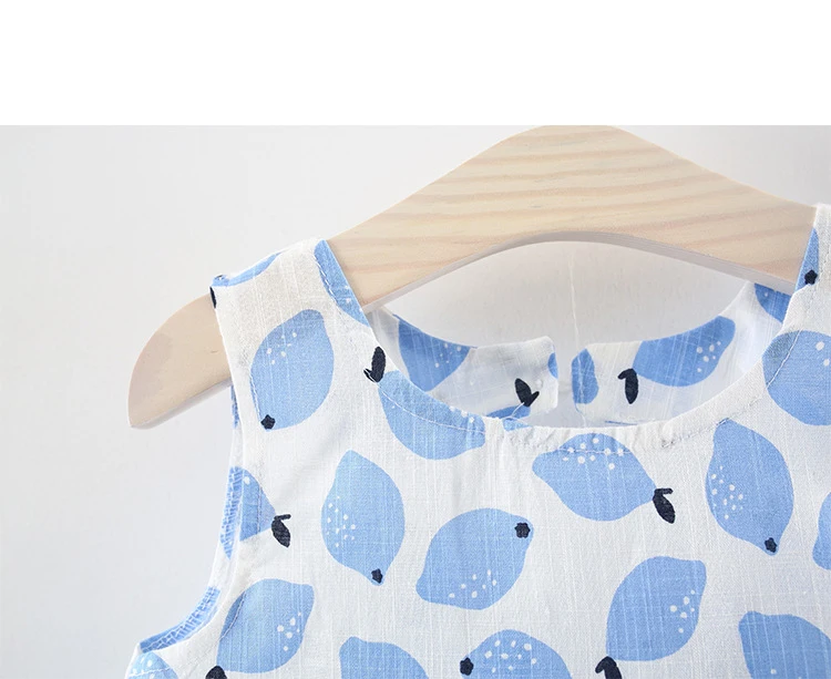 New Born Baby Girls Clothing Sets Princess Dress Tops+Hot short Pants 2 Pcs Kids Outfits Sets 2018 Children Summer Clothes Set (3)