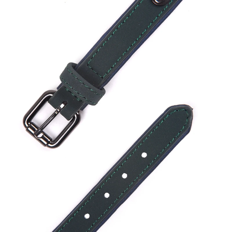 dog collar (4)